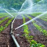Agricultural products