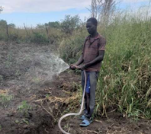 Weed killer chemicals